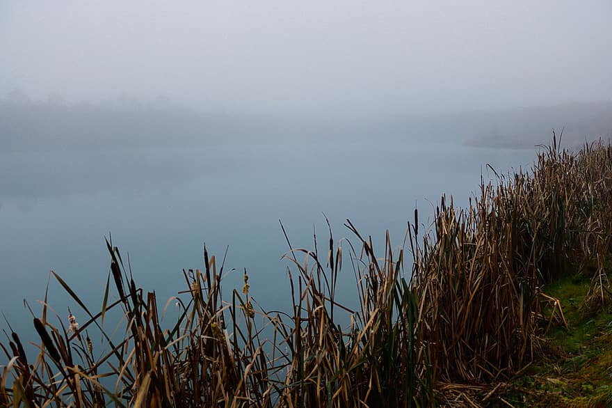 dimma, sjö, morgon-, tidig morgon, natur, dimmig, landskap, gräs, vatten, blå, sommar