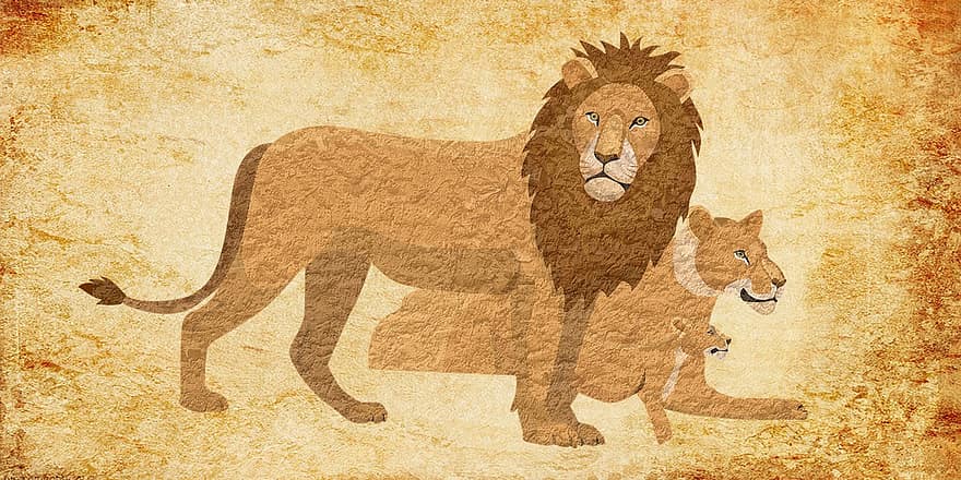 león, animal, vendimia, Puma, gato montés, puma, leona, parejas, combatiente, Rey, bosque