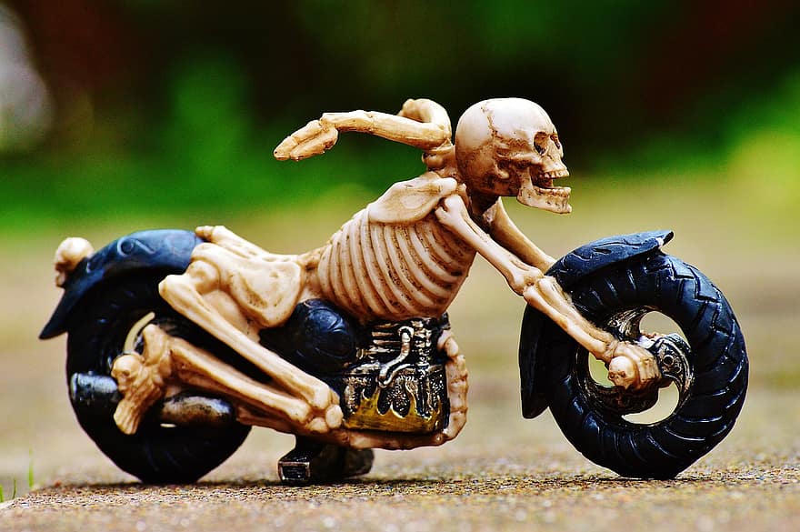 người lái xe đạp, bộ xương, rùng mình, kỳ dị, trang trí, đáng sợ, xương, kinh dị, đầu lâu xương chéo, đầu lâu, xương sọ