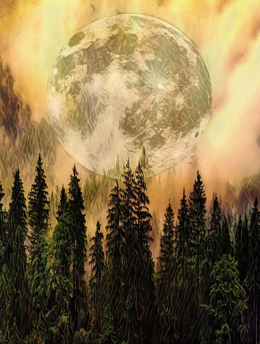 Moon, Nature, Forest, Pine Trees, Sky, Full Moon