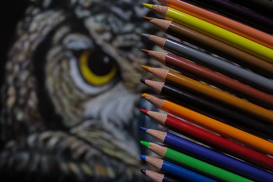 peinture hibou, Dessin de hibou, ouvrages d'art, crayons de couleur