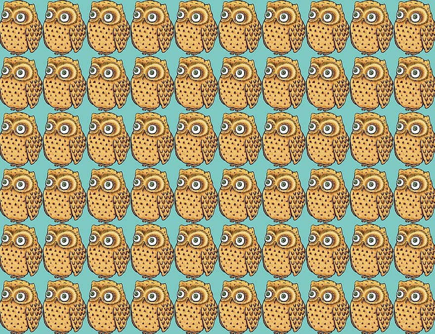Owl Wallpaper, Owl, Bird, Owl Design, Owlet, Drawing, Owl Illustration, Cartoon, Character, Animal, Comic