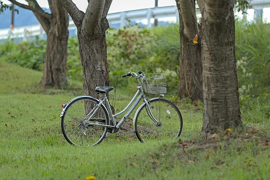 cykel, parkera, gräs, parkerad, utomhus, träd