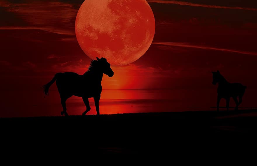 sânge luna, Abendstimmung, lună, cai, cerul de seară, lumina lunii, cer, siluetă