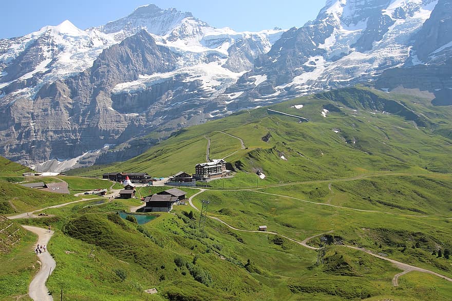 Schweiz, kleine scheidegg, vandring, bjerg, bjergbestigning, sne, landskab, bjergtop, græs, bjergkæde, eng