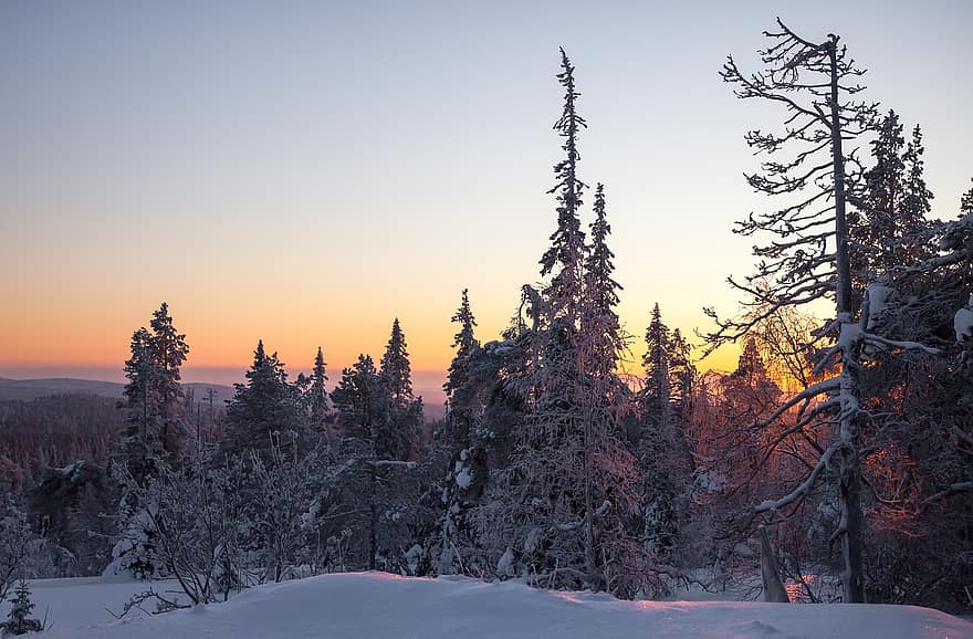 зима, сняг, гора, дървета, пейзаж, гори, снежно, природа, изгрев, скреж, Лапландия