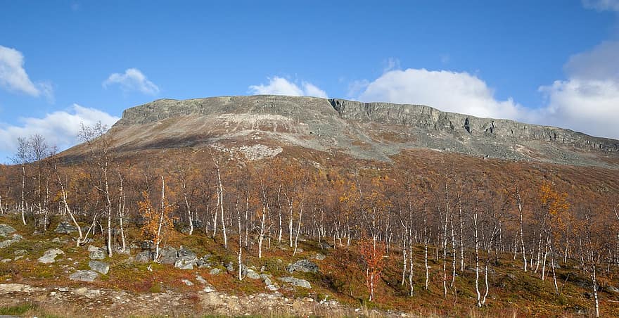 Příroda, podzim, sezóna, venku, hory v Laponsku, saana, Laponsko