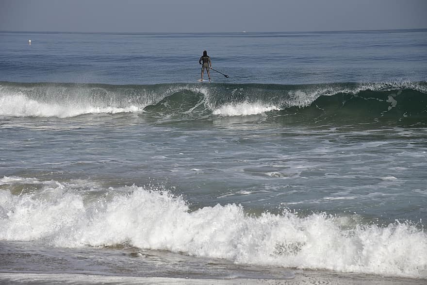 Strand, bølger, utendørs, hav, surferen, surfing