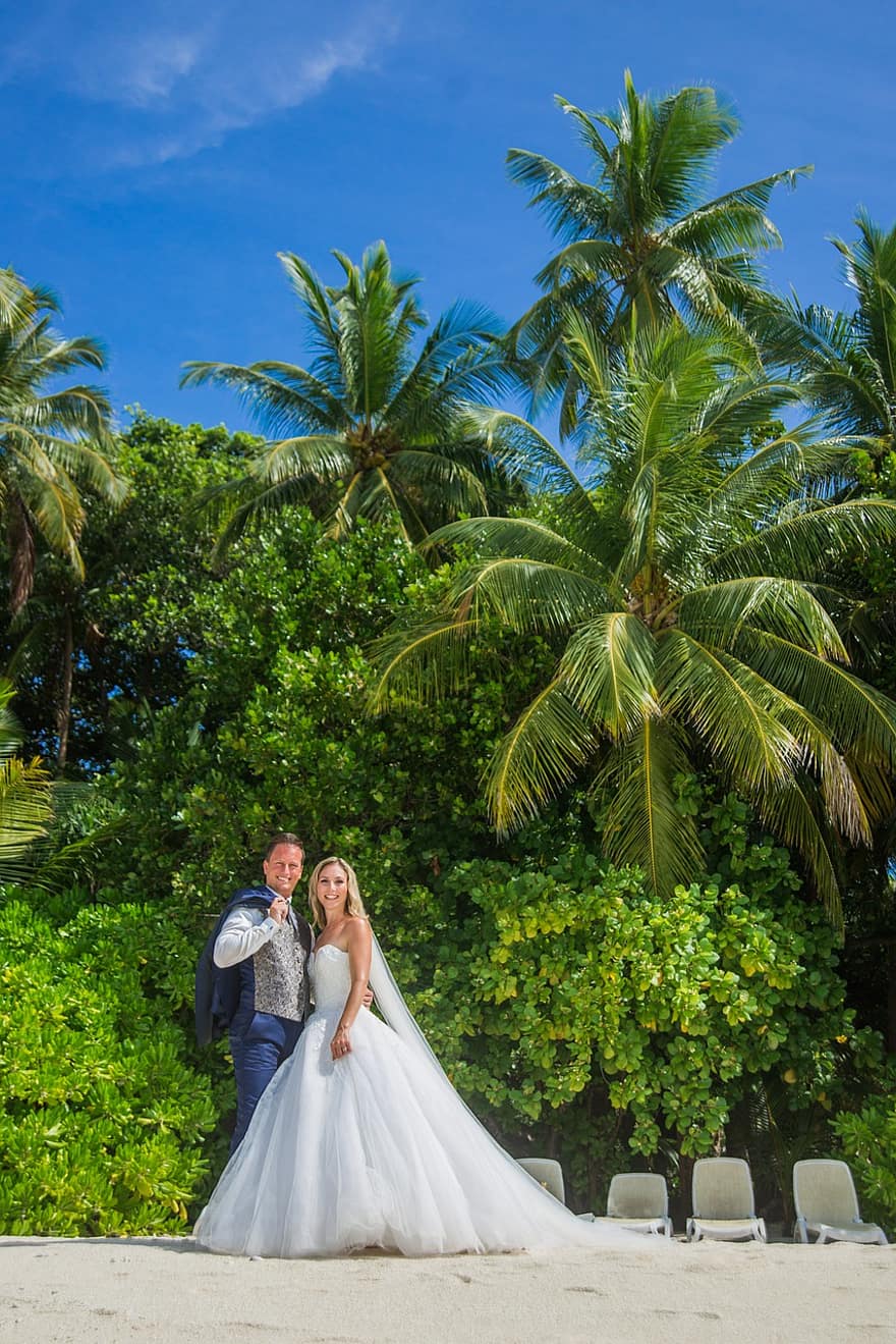 زوج ، قبل ، حفل زواج ، شاطئ بحر ، رمال ، أشجار النخيل ، عروس ، العريس ، جزر المالديف ، الاجازات ، الصيف