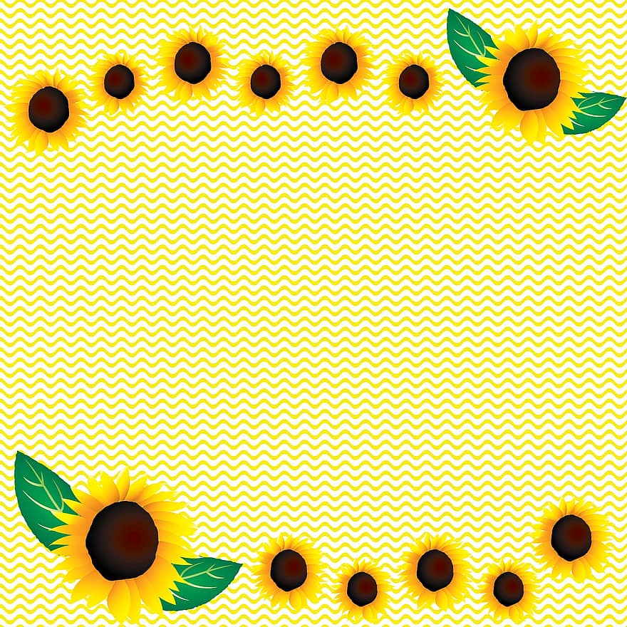 Sonnenblumen-Spitze-Hintergrund, Sonnenblumenpapier, Sonnenblumen-Digitalpapier, Spitzenpapier, Papier-, Sonnenblume, Rahmen, Blumen-, Dekoration, Gruß, Gelb