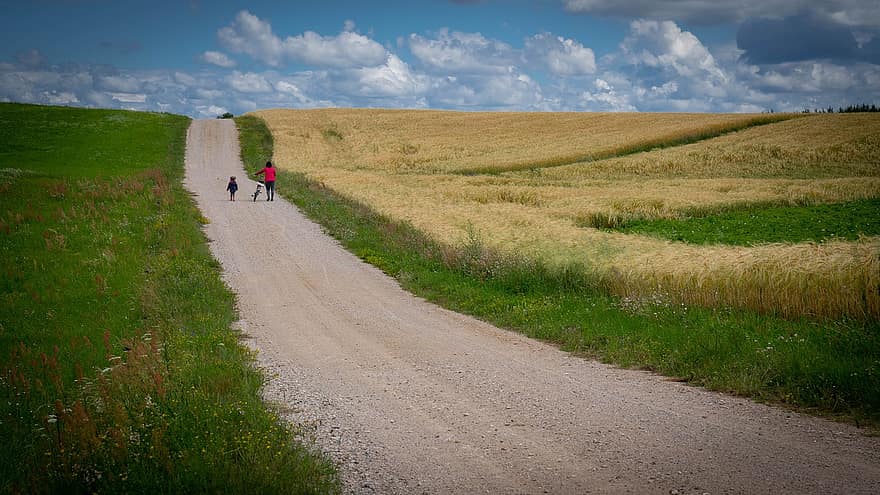 kelias, lauke, kaime, kaimo keliukas, kaimo kelias, pievos, kraštovaizdį, kaimo, pobūdį, horizonto