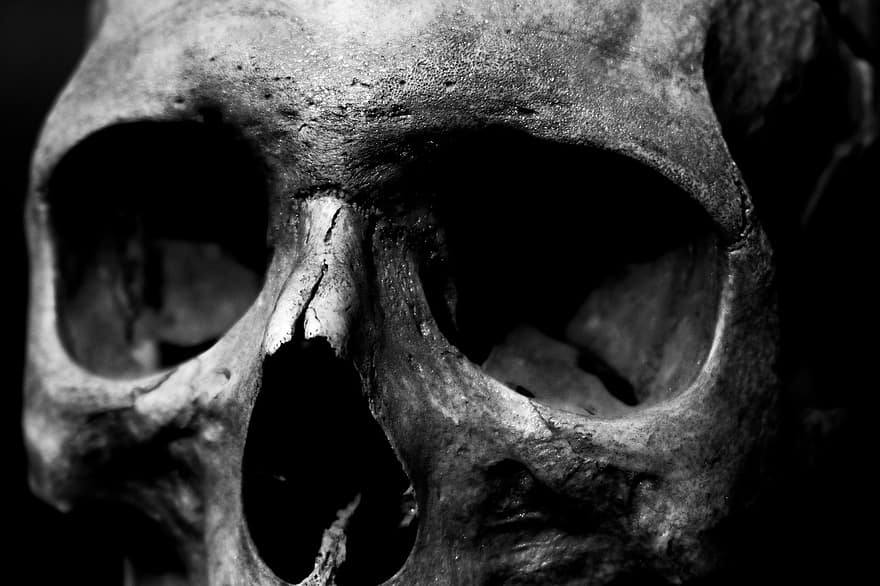 crani, humà, por, mort, home, anatomia, cap, Grey Death, crani gris