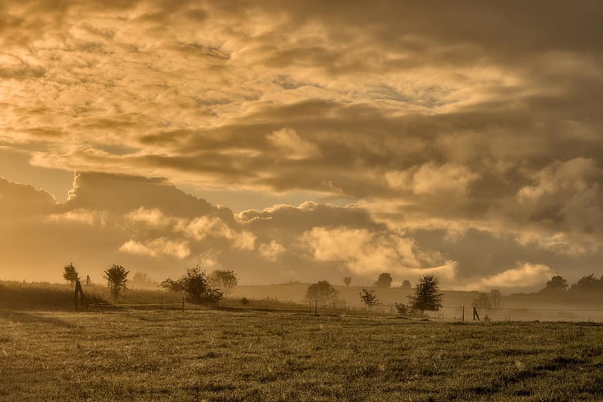 Field, Pasture, Meadow, Morning Mood, Haze, Landscape, rural scene, sunset, cloud, sky, summer