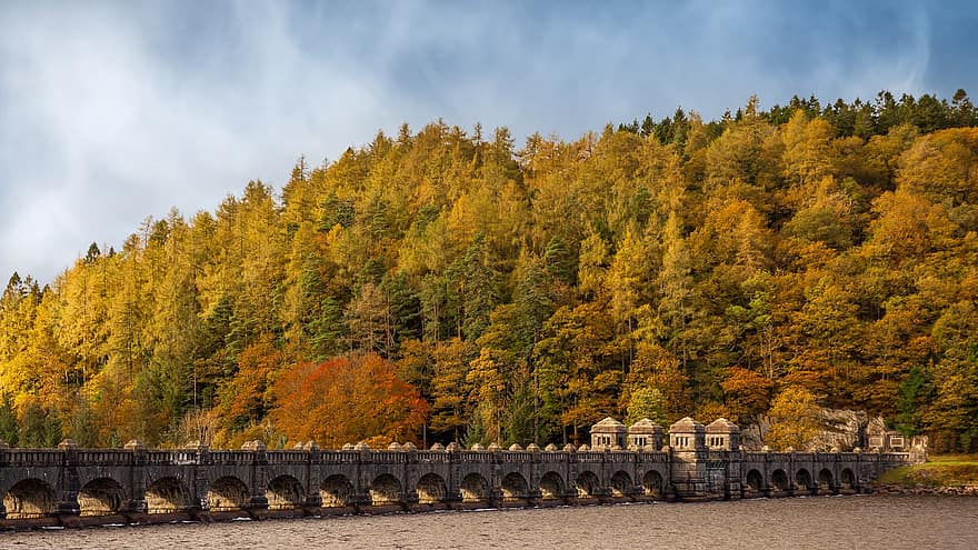 ősz, híd, Vyrnwy-tó, rezervoár, Wales, természet, erdő, fák, tájkép, sárga, fa
