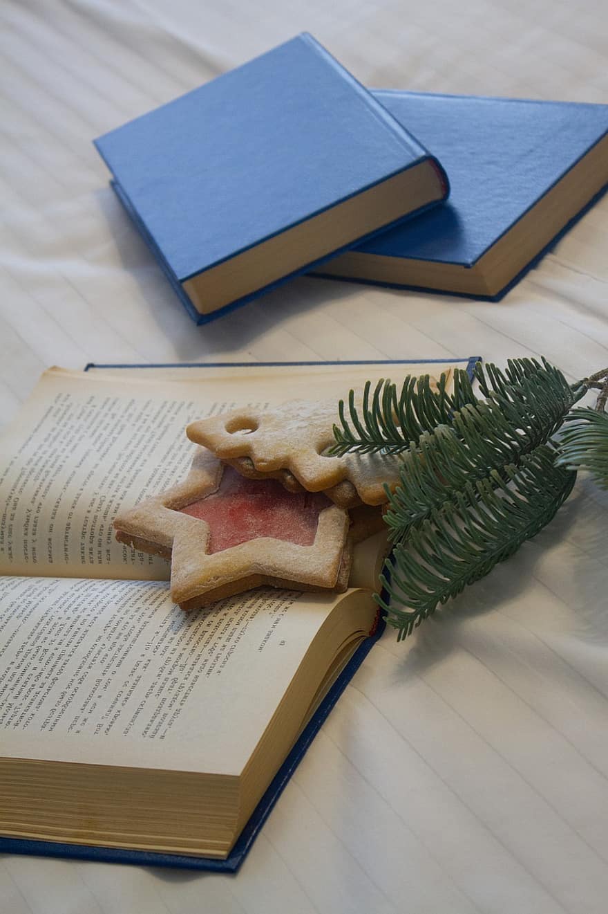 llibres, galetes de Nadal, Nadal, lectura, cookies, decoració, arbre de Nadal, estrella, branca de pi, pàgina, literatura