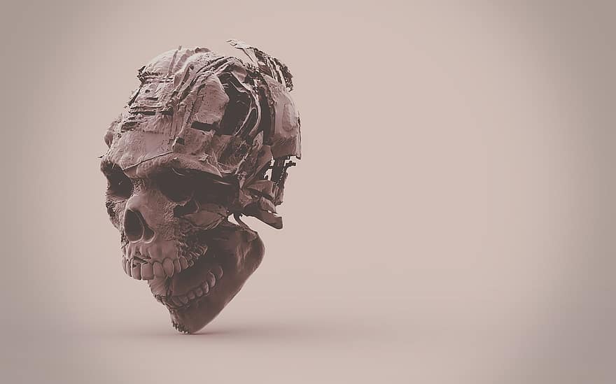 skelet, schedel