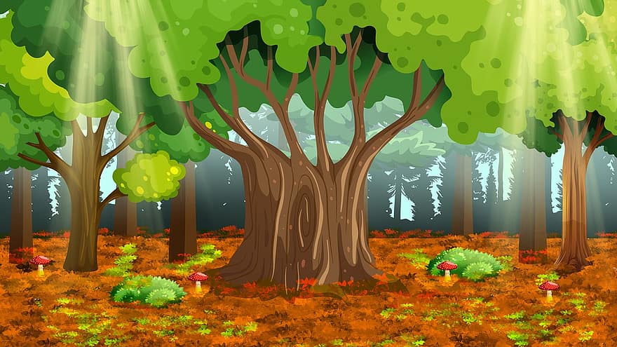 bomen, Bos, bossen, takken, bladeren, pad, herfst, mist, milieu, natuur