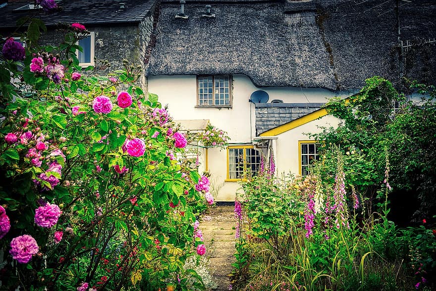 منزل ، حديقة ، الباحة الأمامية ، زهور ، النباتات ، ازهار زهرية اللون ، إنكلترا ، المملكة المتحدة ، هوف ، سقف من القش ، بيت قديم