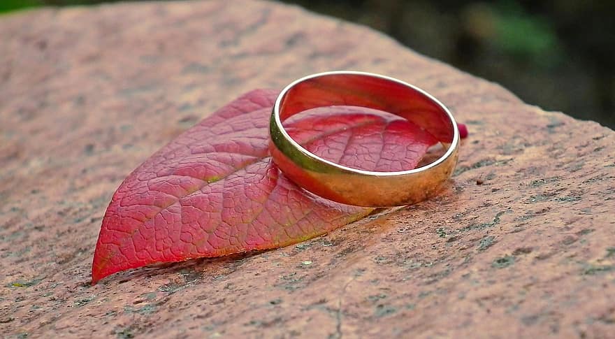 cincin, daun, pernikahan, cinta