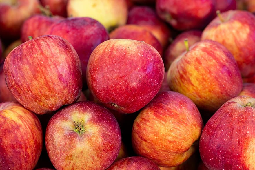 äpplen, frukt, mat, färsk, hälsosam, mogen, organisk, ljuv, producera, skörda