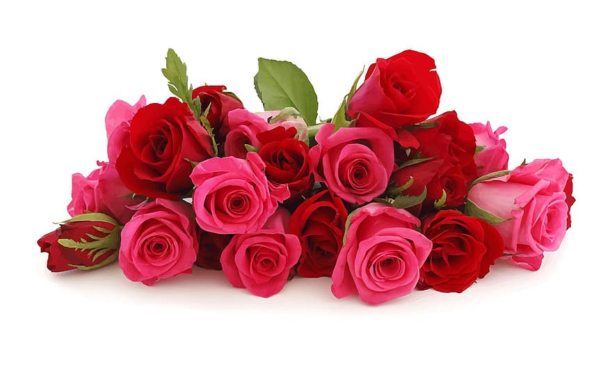 virágok, rózsák, románc, vörös rózsa, virágos
