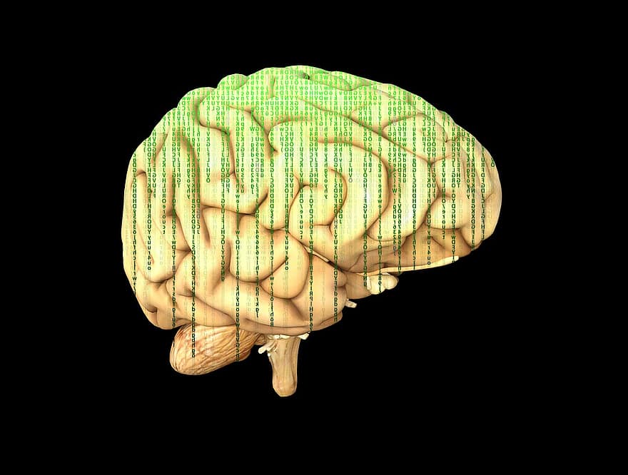 mózg, matryca, inteligencja, sztuczny, cyberprzestrzeń, myślący, sieć