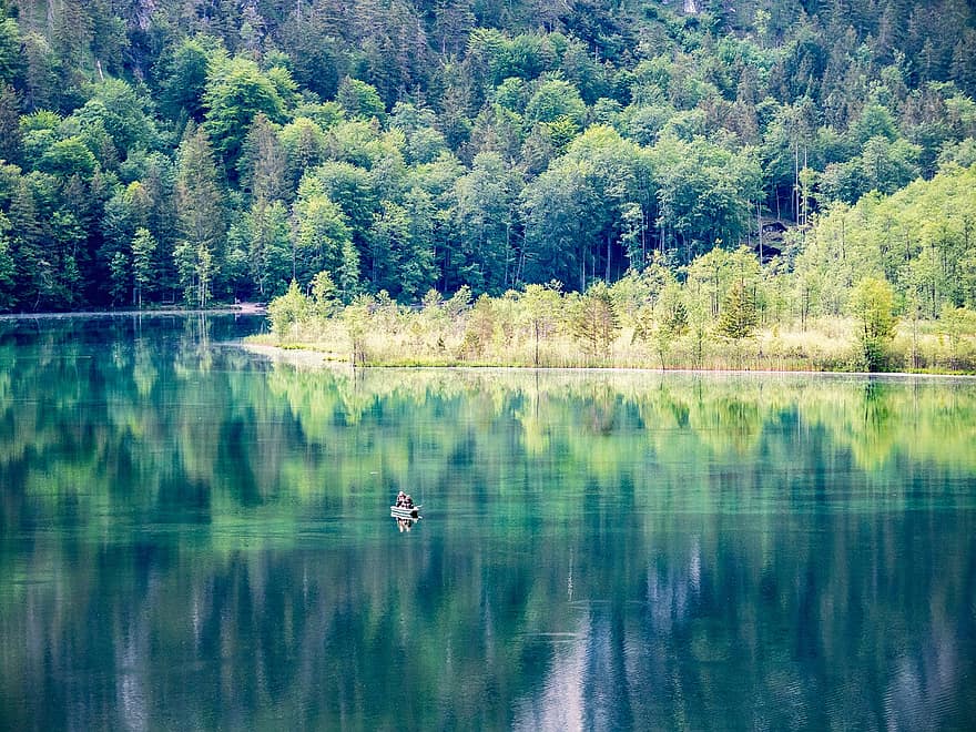 danau, hutan, almsee, alam, perahu, penangkapan ikan, grünau im almtal, salzkammergut, Austria, Österreich, pegunungan Alpen