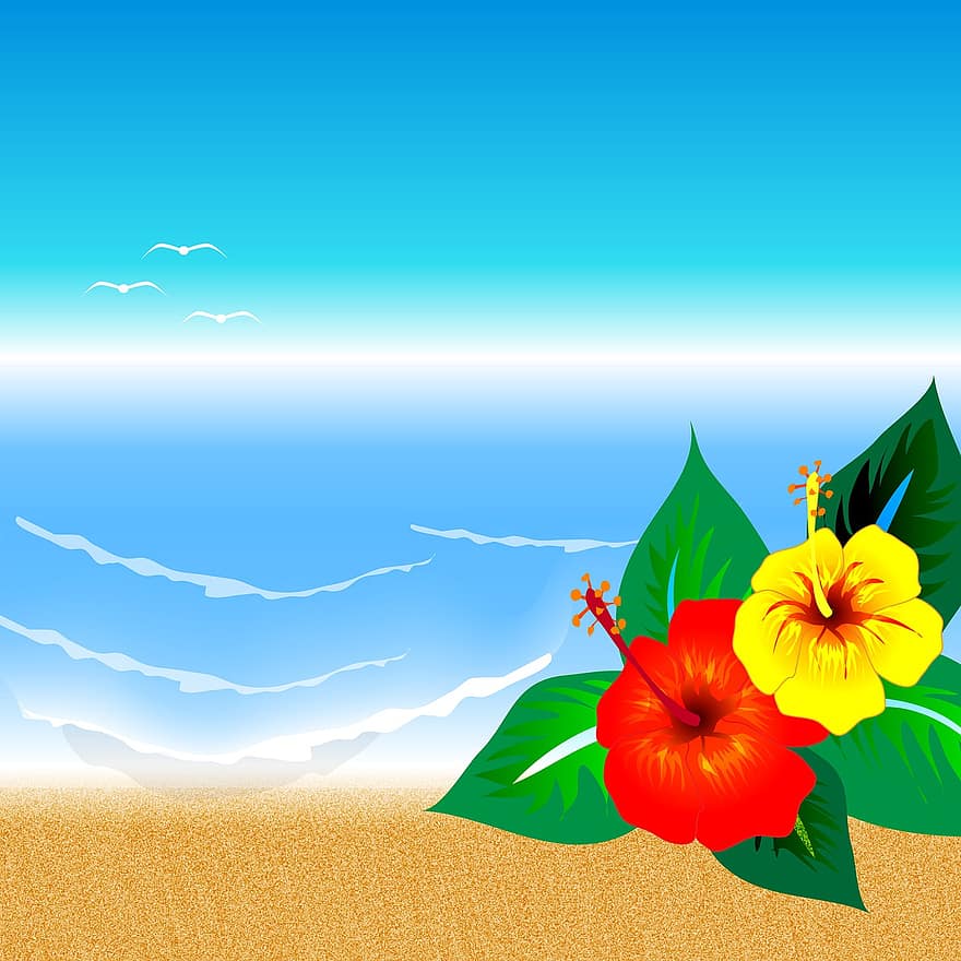 vasara, jūros, kraštovaizdį, hawaii, papludimys, pajūrio, saulė, kelionė, šventė, smėlis, lauke