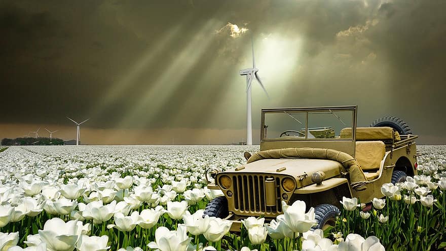 xe jeep, tất cả các xe địa hình, cánh đồng hoa tulip, Thiên nhiên, ngoài trời, nhiên liệu và phát điện, xe hơi, nông trại, tuabin gió, cánh quạt, cảnh nông thôn