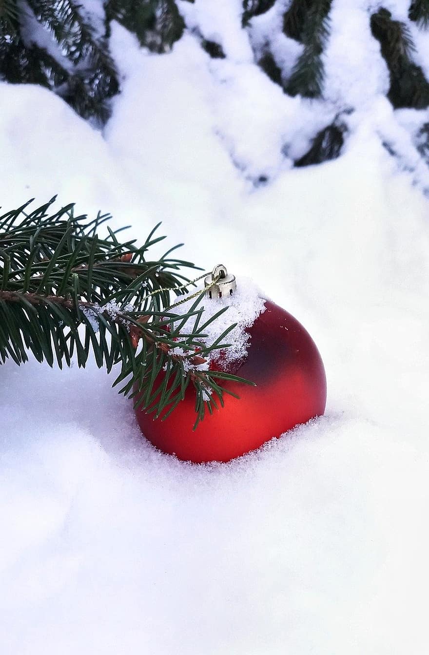 Vánoce, dekorace, sníh, zimní, sezóna, strom, oslava, borovice, pozadí, detail, jehličnatého stromu