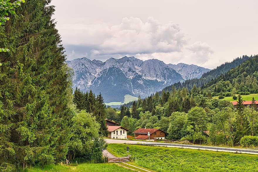 paysage, les montagnes, la nature, Haute Bavière, forêt, Roche