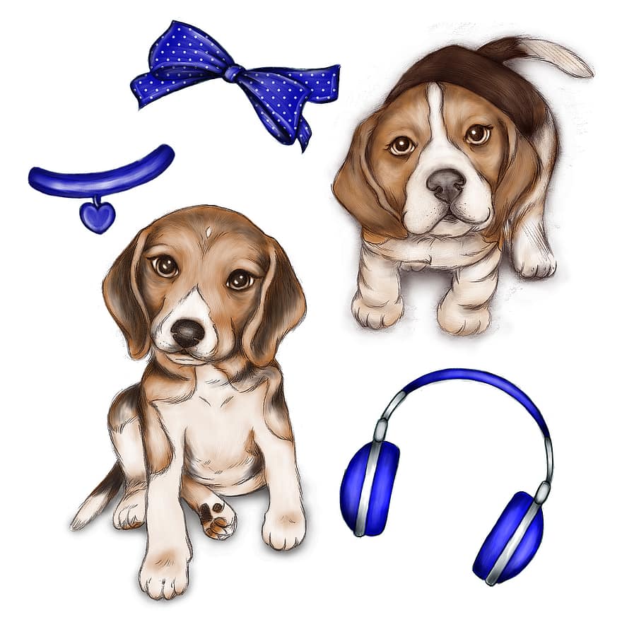 Beagle, Dog, Animal, Race, Puppy, Animals, Adorable, Lace, Earphone, Collar, Accessory
