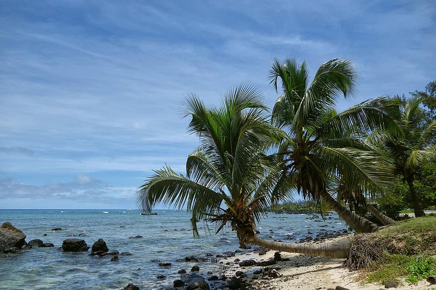 пляж, море, пальмовые деревья, рай, спокойный, летом, тропический климат, синий, каникулы, береговая линия, Пальма