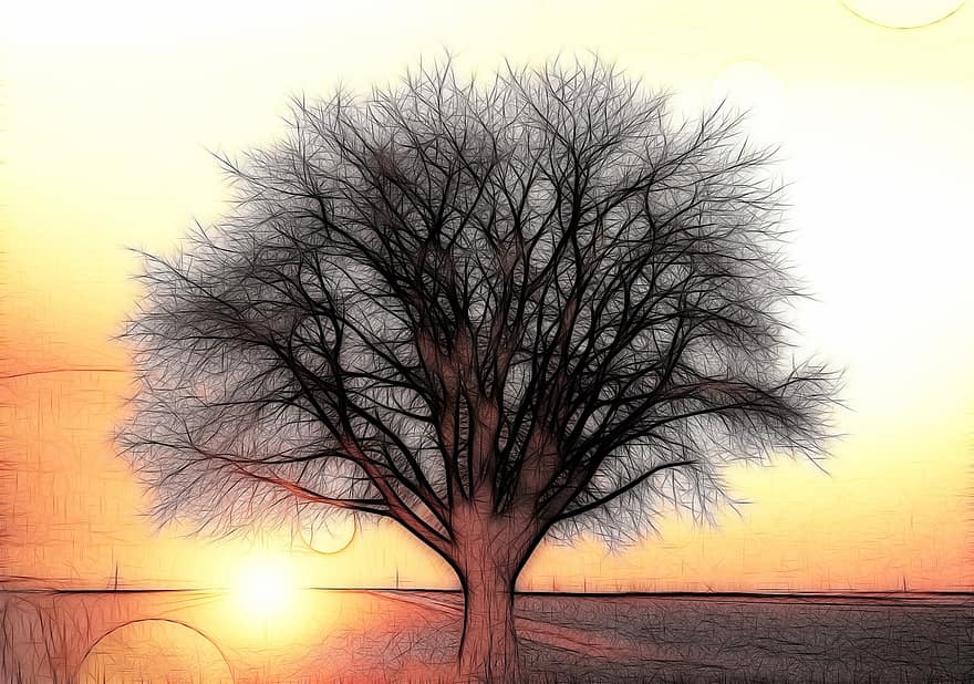 copac, solitar, apus de soare, starea vremii, atmosfera, galben, cerul de seară, cer, Kahl, amurg, Morgenrot