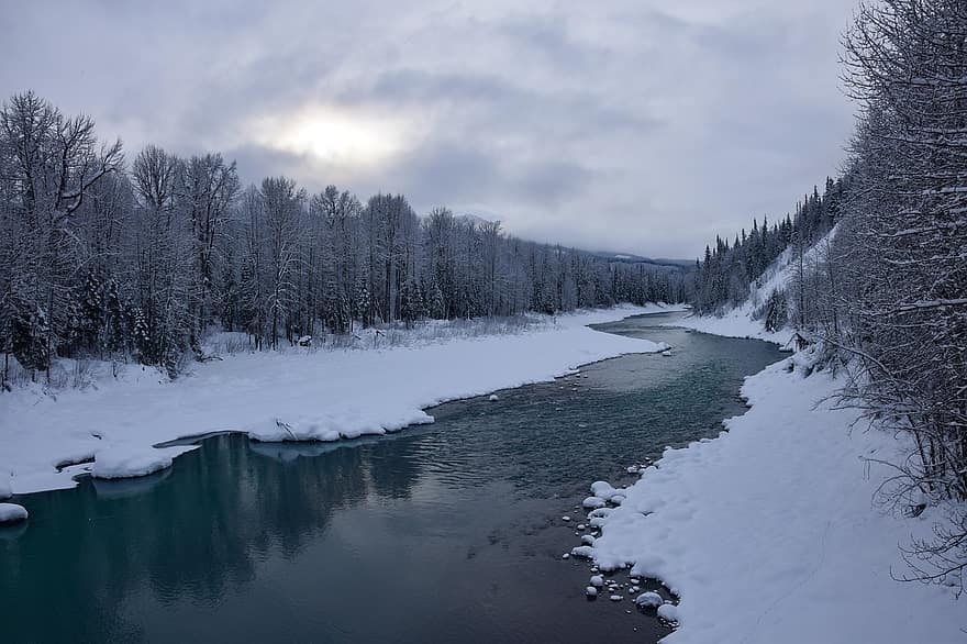 나무, 숲, 눈, 강, 겨울, 휴식, 감기, 냉랭한, 눈이 내리는, 자연, 캐나다