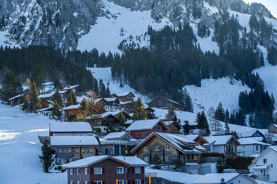zimní, město, Alpy, švýcarsko, brunni, schwyz, sníh, hora, domy, vesnice, les