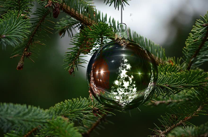 Decoración navideña, abeto, Navidad, decoración, árbol de Navidad, decoraciones para árboles, diciembre, tarjeta de felicitación, tarjeta de Navidad, Nochebuena, vacaciones