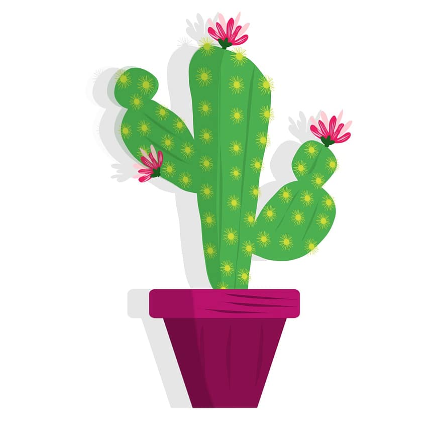 cactus, plante, pot, botanique, jardinage, dessin numérique, photo d'art