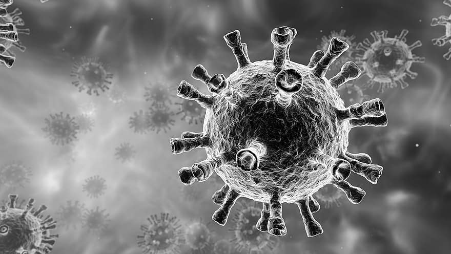 virus, infección, coronavirus, COVID-19, enfermedad, pandemia, cuarentena, epidemia, brote, higiene, médico