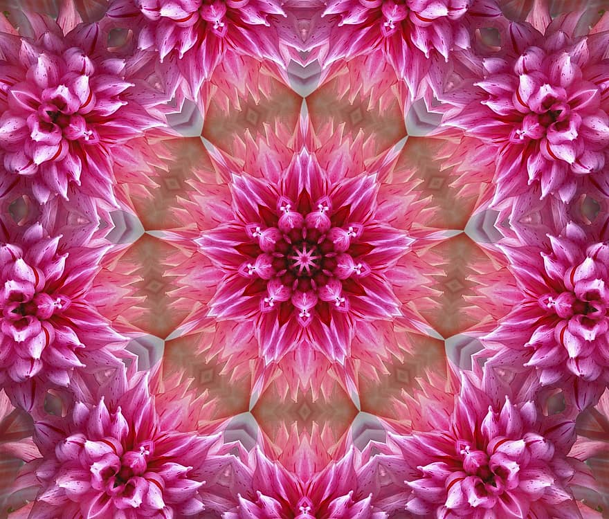 Blume, Mandala, Kunst, Rosa, abstrakt, konzentrisch, Farbe, Kreativität, geometrisch, Kaleidoskop, Muster