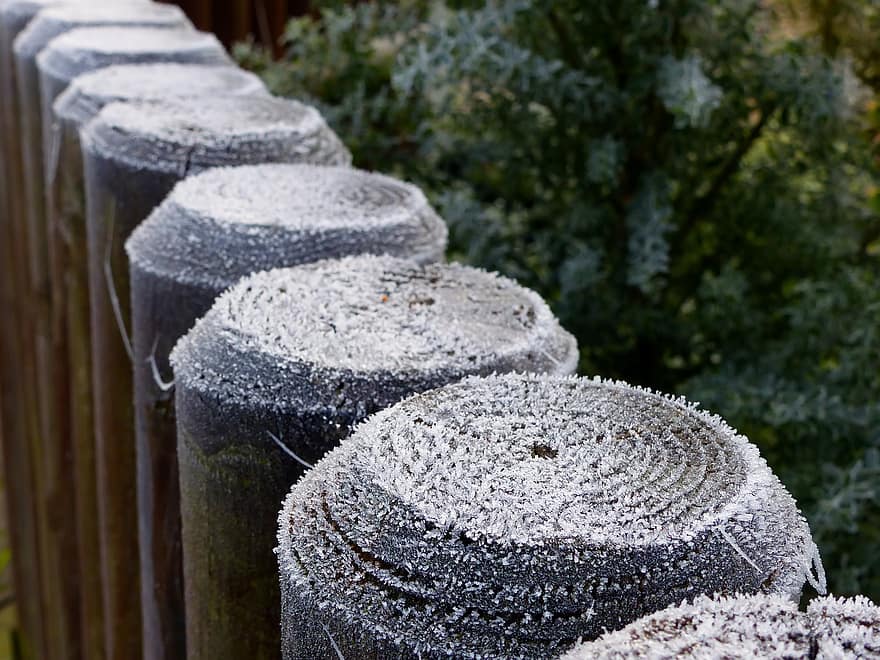 Fence, Fence Posts, Garden Fence, Wooden Fence, Frost, Hoarfrost, Winter