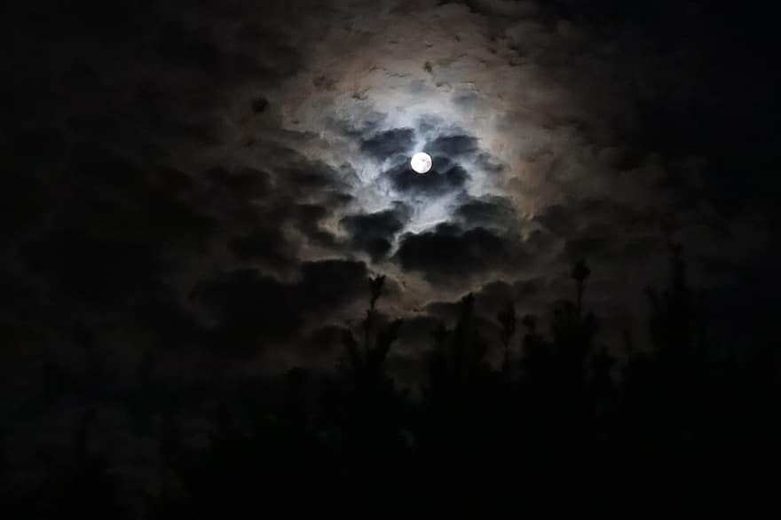 đêm, mặt trăng, những đám mây, bầu trời, tối, ma quái, ánh trăng, tầng lớp, cây, không gian, hình bóng