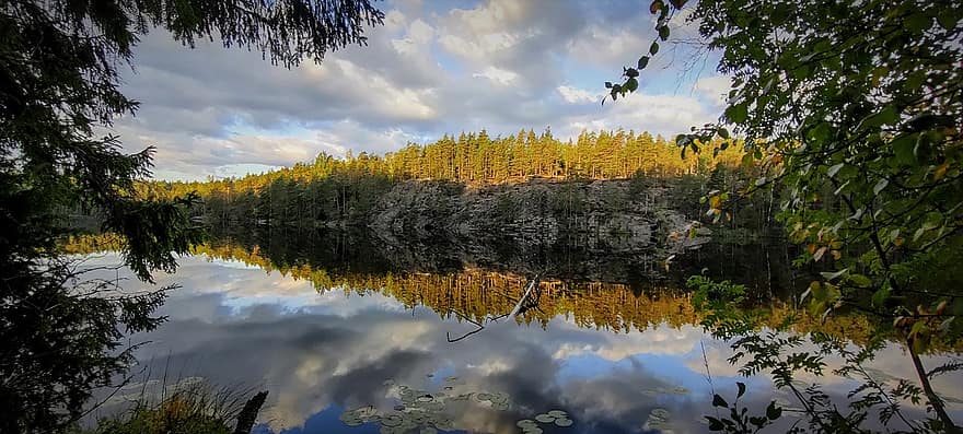 ฤดูใบไม้ร่วง, ฟินแลนด์, ทะเลสาป, เอสโป, บ่อน้ำ, ป่า, ธรรมชาติ