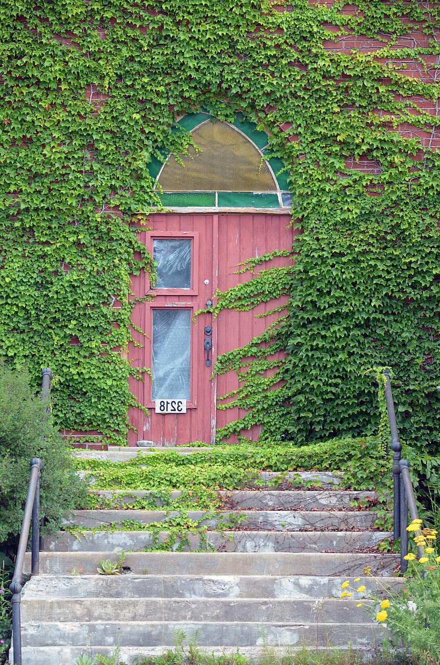 durvīm, vīnogulājiem, ēka, kāpnes, fasāde, durvis, ieeja, soļi, arhitektūra, augu, zaļā krāsa