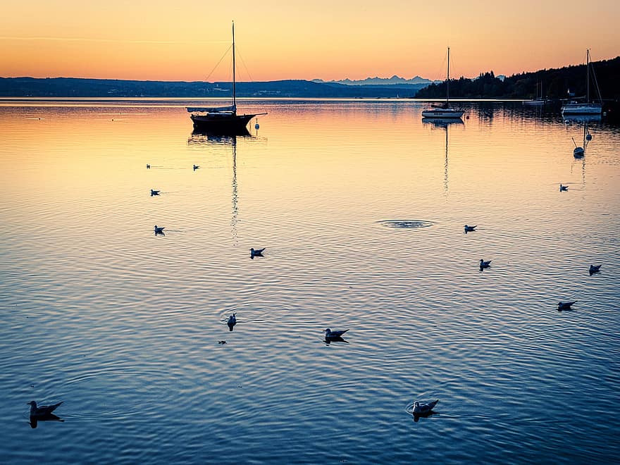 lago, barcos, aves, gaviotas, Ammersee, puesta de sol, oscuridad