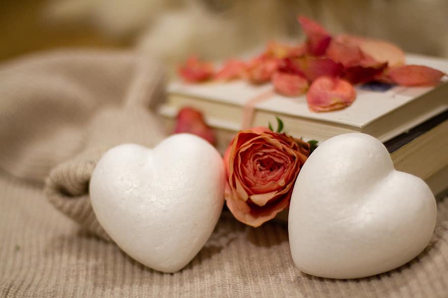 обичам, Свети Валентин, роза, сърце, подарък, романтика, във формата на сърце, цвете, венчелистче, едър план, дърво