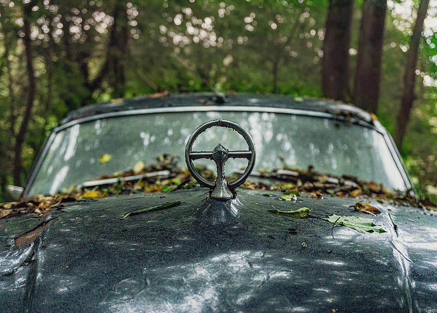 放棄された車、老朽車、森林