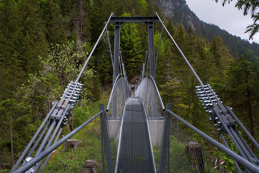 γέφυρα, γέφυρα σχοινιού, εναιώρημα, κατασκευή, ατσάλι, Μηχανική, διαδρομή ποδιών, στενός, δάσος, βουνό, τοπίο