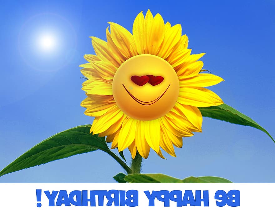 рожден ден, слънчоглед, цвете, жълт, поздрав, усмивка, късмет, щастлив, сърце, слънце, небе