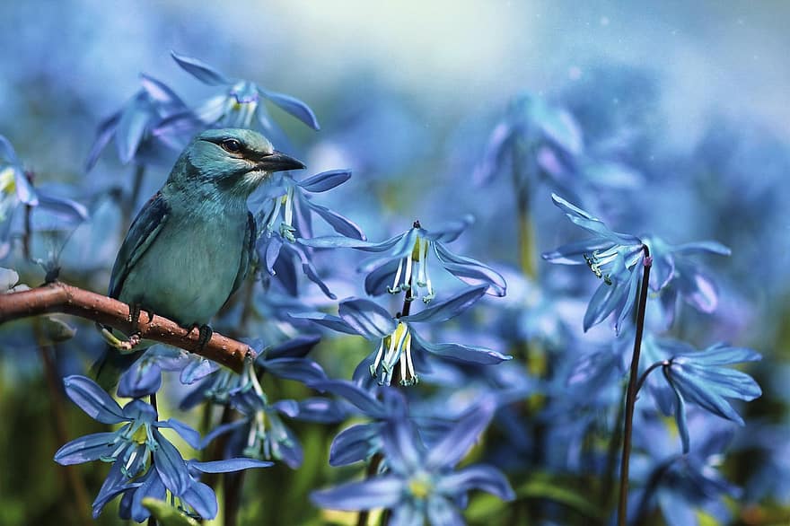 tavaszi, fantázia, madár, kék, virágok